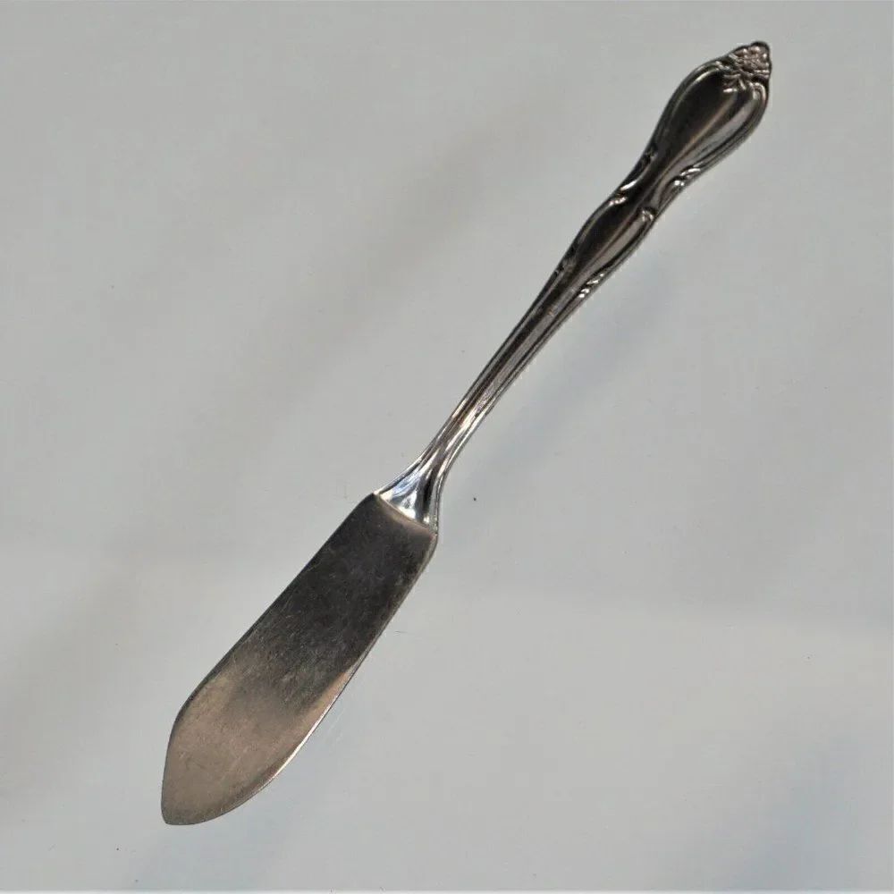Oneida Wm A Rogers MONTCLAIR Pattern Butter Knife Vintage Stainless Floral Tip